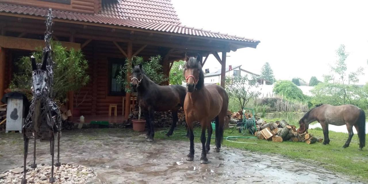 Hotel Dom Árgyélus - Árgyélus ház - Fesztypark Martovce Esterno foto